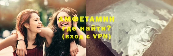 дживик Инта